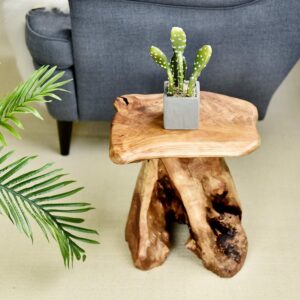 Natural Tree Stump Mushroom Stool Side Table Plant Stand Nightstand