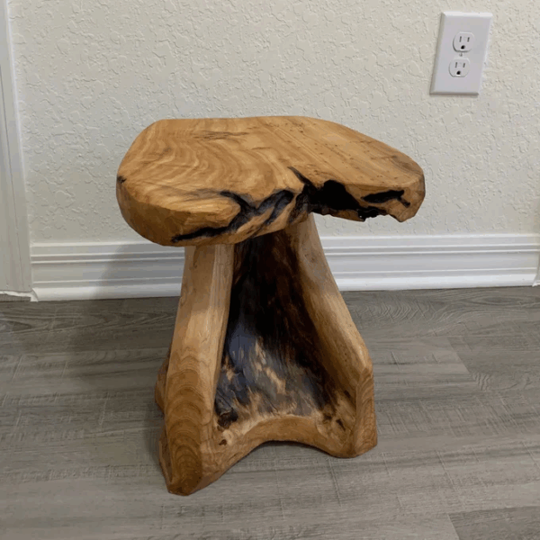 Handcrafted Natural Stump Side Table, Accent Stool & Plant Stand - Image 2