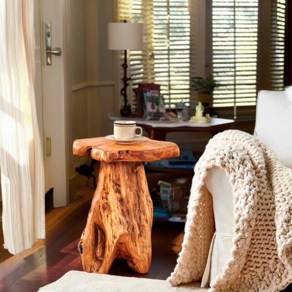 Handcrafted Natural Stump Side Table, Accent Stool & Plant Stand - Image 5