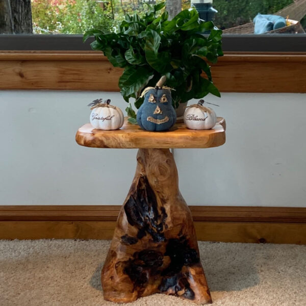Handcrafted Natural Stump Side Table, Accent Stool & Plant Stand - Image 6