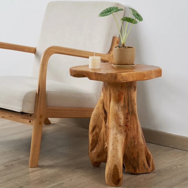 Handcrafted Natural Stump Side Table, Accent Stool & Plant Stand - Image 10