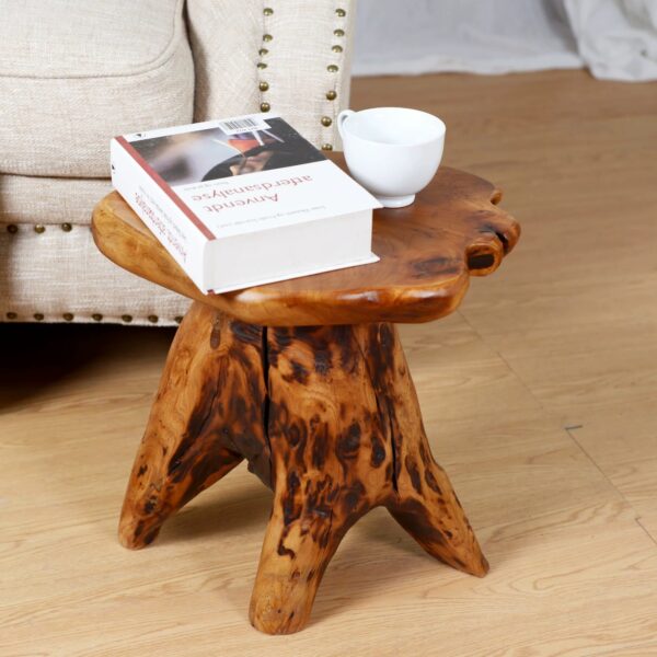 Handcrafted Natural Stump Side Table, Accent Stool & Plant Stand - Image 9