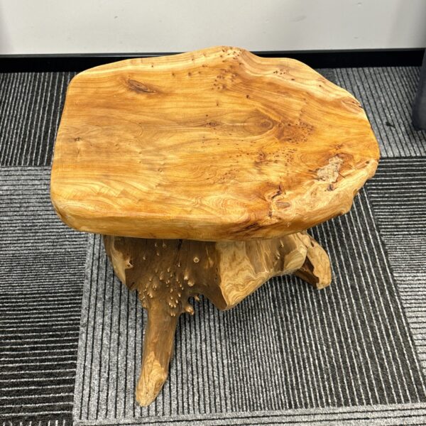 Handcrafted Natural Stump Side Table, Accent Stool & Plant Stand - Image 7