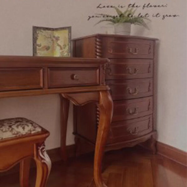Solid Wood Drawer Storage Cabinet - Image 6