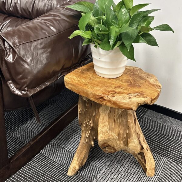Handcrafted Natural Stump Side Table, Accent Stool & Plant Stand - Image 4